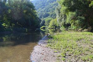 Leľa, štrková lavica v dolnej časti TML. Sedimenty okrajov sú vhodné habitáty pre larvy Gomphus as Ophiogomphus.