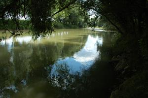 Malé Kosihy, Ipeľ, dolná časť TML, slovenský breh, nevhodný úsek pre cieľový druh, breh spevnený lomovým kameňom