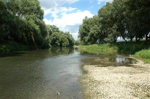 M. Kosihy, Ipeľ, stred TML, ľavobrežná štrková terasa, vhodná pre Gomphidae