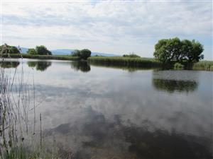celkový pohled na lokalitu