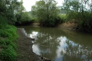 Kováčovce, Ipeľ, pravý breh Ipľa s vhodným habitátom pre druh Stylurus flavipes a ostatné Gomphidae