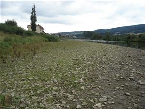 Rozsiahla štrková terasa, na ktorej sa vyvíja biotop Br5 (Bidention) v koryte rieky Poprad. 