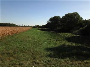 celkový pohľad z cesty na hranici s Maďarskom, vykosená trstina v kanáli, žiadna voda