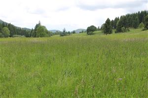 celkový pohľad na TML - východná časť