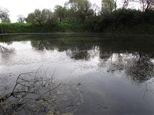 celkový pohled na lokalitu