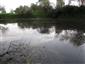 Prirodzené eutrofné a mezotrofné stojaté vody s vegetáciou plávajúcich a/alebo ponorených cievnatých rastlín typu Magnopotamion alebo Hydrocharition (10.6.2014)