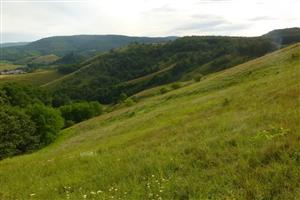 lokalita