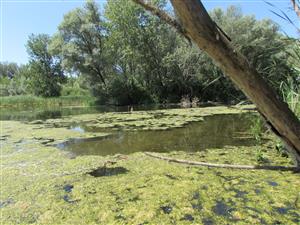 pohled na začátek lokality