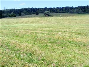 celkovy pohľad na lokalitu