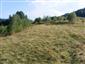 Nížinné a podhorské kosné lúky (26.8.2015)