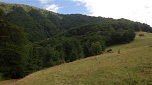 lokalita, vľavo hore vrchol Lysca