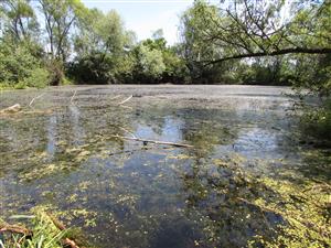 celkový pohled na lokalitu