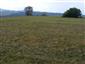 Nížinné a podhorské kosné lúky (30.8.2015)