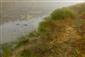 Rieky s bahnitými až piesočnatými brehmi s vegetáciou zväzov Chenopodionrubri p.p. a Bidentition p.p. (14.10.2013)