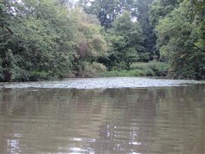 Lokalita, V konec ramene