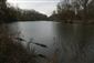 Meander VII