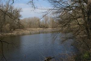 meander
