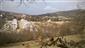 poniklec veľkokvetý (24.3.2016)