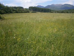 Stredná časť lokality