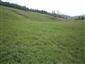Nížinné a podhorské kosné lúky (24.5.2014)