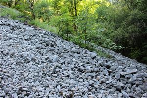 Záber na monitorovaný biotop.