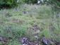 Suchomilné travinnobylinné a krovinové porasty na vápnitom podloží (*dôležité stanovištia Orchideaceae) (30.5.2014)