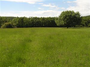 Pohľad na TML, celkový