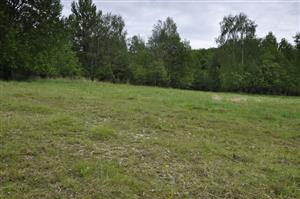 Celkový pohľad. Znížený riedky porast predstavuje 20% biotopu Tr8b