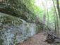 Karbonátové skalné steny a svahy so štrbinovou vegetáciou (14.9.2016)