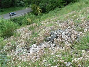 lokalita - sutina nad cestou do Mojtína