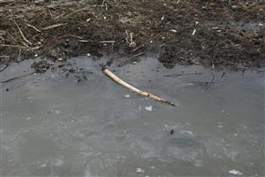 Požerok