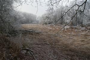 Meander Kačenky 