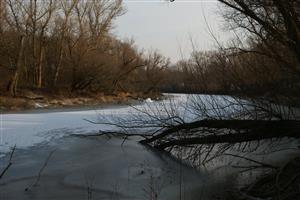 Meander XI