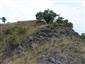 Pohľad na skalnatú plochu kóty Tilič s výskytom ponikleca veľkokvetého
