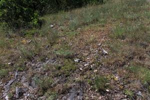 Záber na monitorovanú lokalitu.