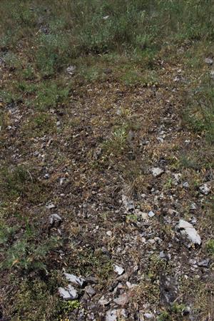 Záber na monitorovanú lokalitu.