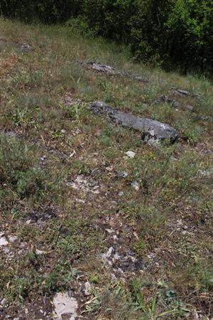 Záber na monitorovanú lokalitu.