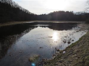 TML Budiš