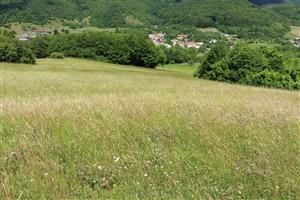 Záber na monitorovanú lokalitu.