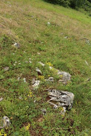 Záber na monitorovanú lokalitu.