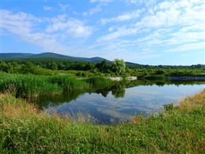 TML Bačkov-mokraď