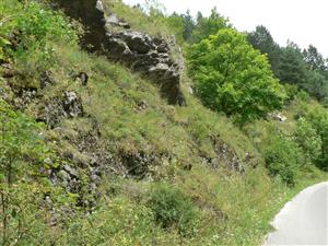 TML na báze skaly Smetlička nad cestou do Mojtína.