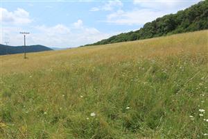 Záber na monitorovanú lokalitu.