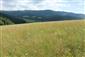 Nížinné a podhorské kosné lúky (15.7.2017)