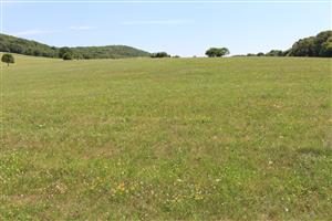 Záber na monitorovanú lokalitu.