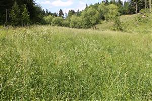 celkový pohľad na TML