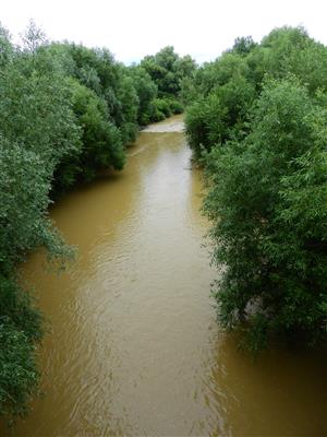 TML Topľa - most pri Božčiciach