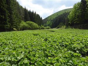 TML_TritMont_034_20170522_001_lokalita