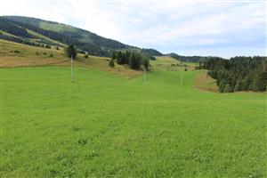 Záber na monitorovanú lokalitu.