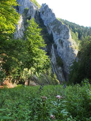 Pohľad na lokalitu